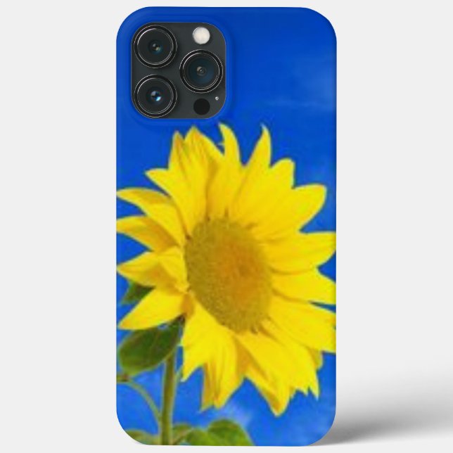 iPhone 13 pro max coque (Verso)