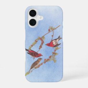 iPhone 16 Audubon's Purple Finch Red Birds Vintage Art Coque