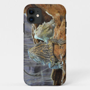 IPhone 5 Coque avec deux lézards curieux