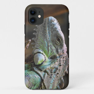 IPhone 5 Coque avec tête de lézard Iguana