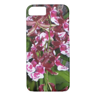 iPhone 8/7 Coque - Tolumnia Jairak Rainbow Orchid