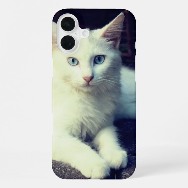 iPhone Coque de téléphone Chat Mignon (Verso)