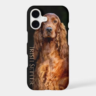 iPhone / coque ipad