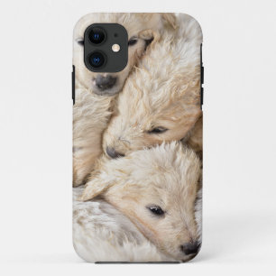 iPhone / coque ipad