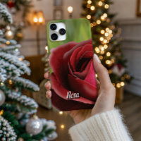 Rose haute définition en pleine floraison - Coque