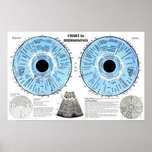 Iridiagnose Iridologie Tableau de l'œil