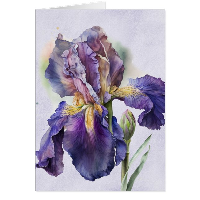 Iris (Devant)
