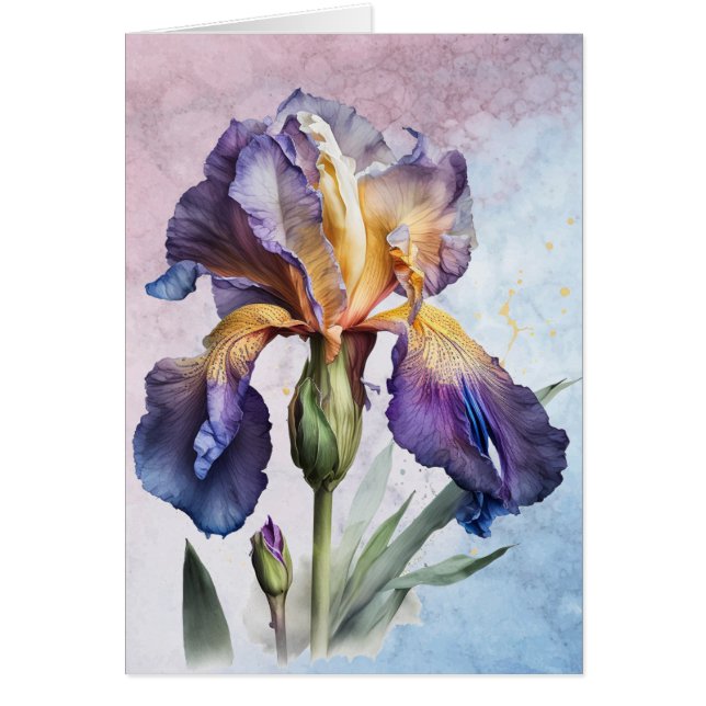 Iris (Devant)