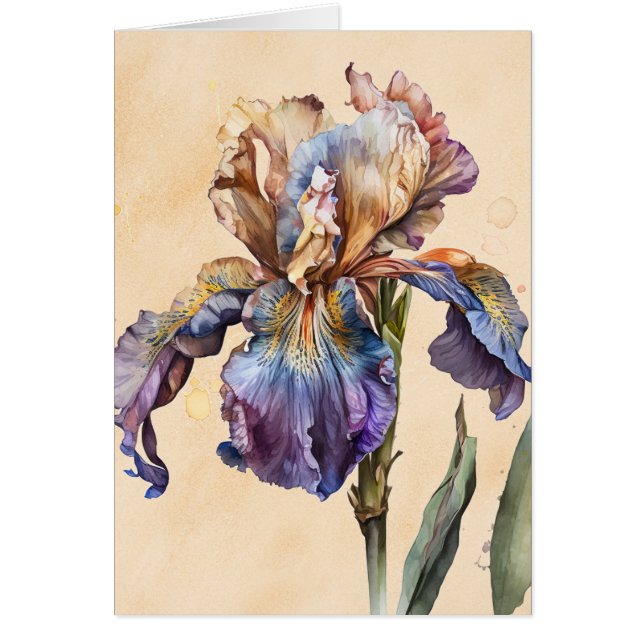 Iris (Devant)