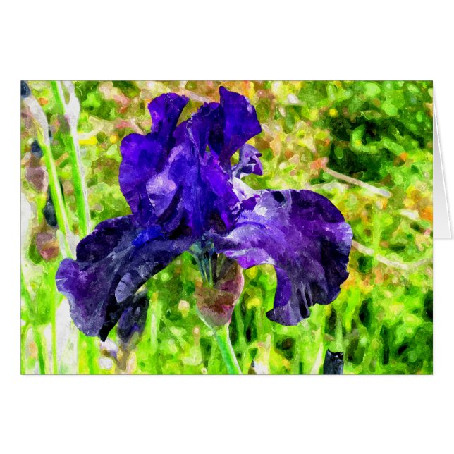 Iris (Devant Horizontal)