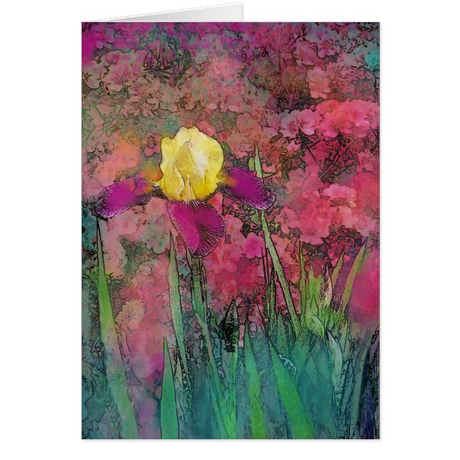 Iris (Devant)