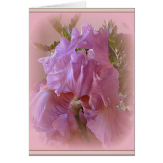 Iris Beauty