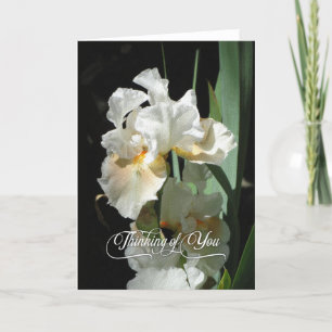 Iris blanc pensant à vous carte vierge