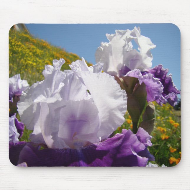Iris blancs Iris fleurs violet tapis de souris Côt (Devant)