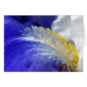 Iris Chante Le Blues