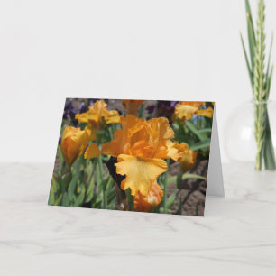 Iris d'orange personnalisés par coutume de cartes