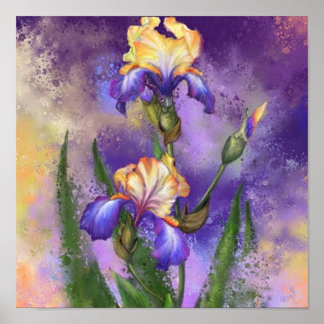 Iris Fleurs Purple Irises Poster Peinture (Devant)