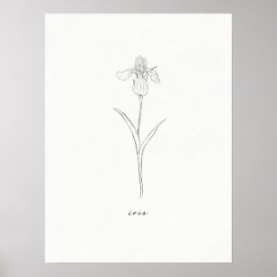 Iris - Impression de fleurs