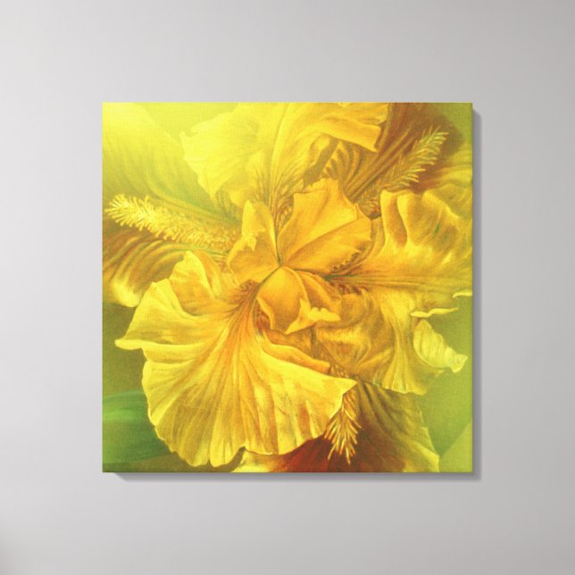 Iris intérieur beauté chaude jaune art carré toile (Recto)