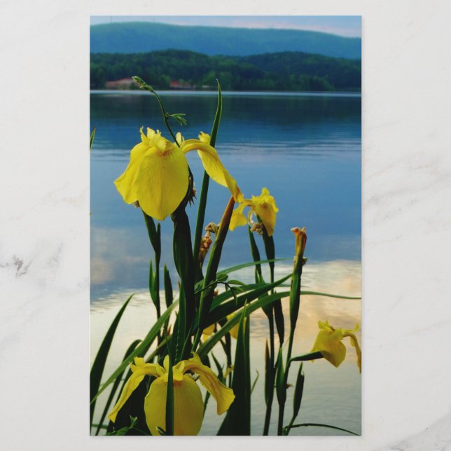 Iris jaune à Lake Shore (Devant)