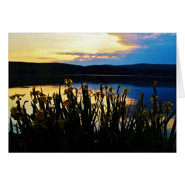 Iris jaunes sur la rive du lac Arrowhead (Devant horizontal)