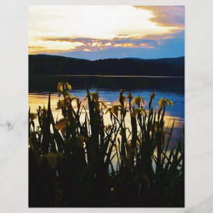 Iris jaunes sur la rive du lac Arrowhead