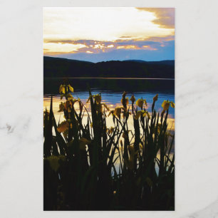 Iris jaunes sur la rive du lac Arrowhead