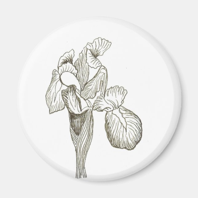 Iris Magnet (Devant)