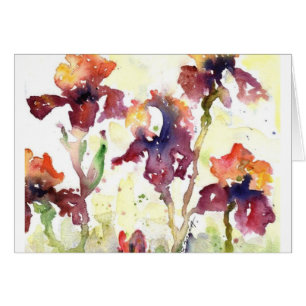 iris mauve