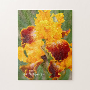 Iris ‘Michigan Pride’ [Puzzle: 252P] Puzzle