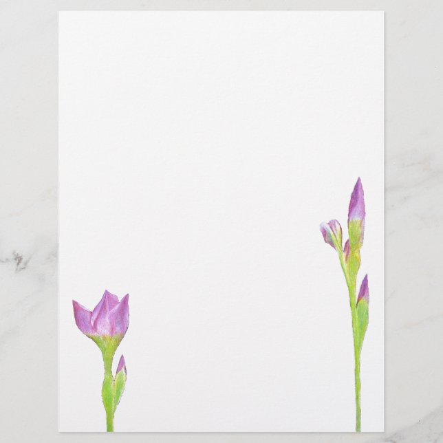 Iris pourpre (Devant)