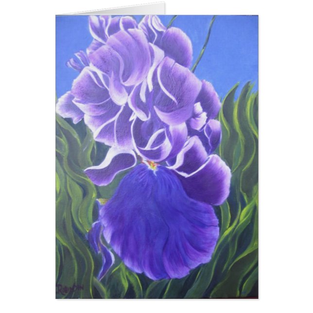 Iris pourpre (Devant)