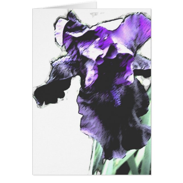 Iris, pourpre (Devant)