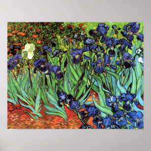 Irises de Van Gogh Poster d'art