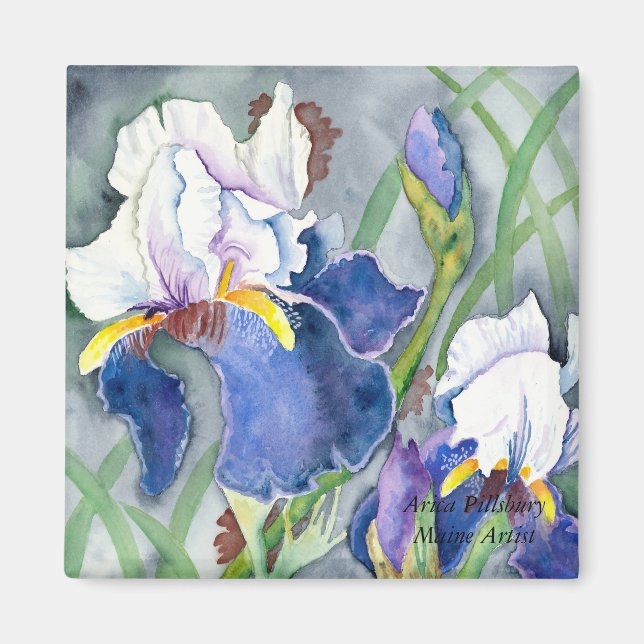 IRISES Magnet (Devant)