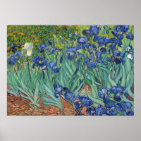 Irises par Van Gogh Poster Imprimer