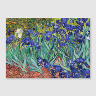 Irises par Vincent van Gogh