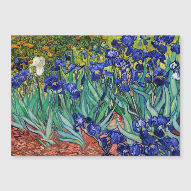 Irises par Vincent van Gogh (Devant)