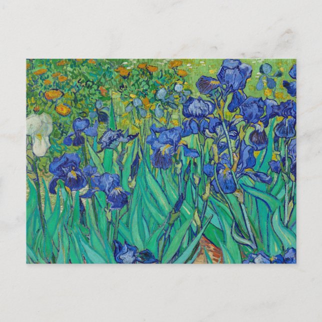 Irises par Vincent van Gogh Carte Postale (Devant)