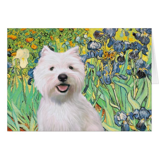 Irises - Westie 2 (Devant horizontal)