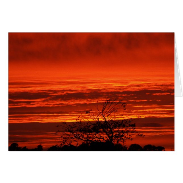 Irish Sunset, Cork, Irlande Cartes (Devant horizontal)
