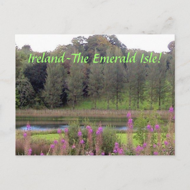 Irlande(Île d'Émeraude) Carte postale (Devant)