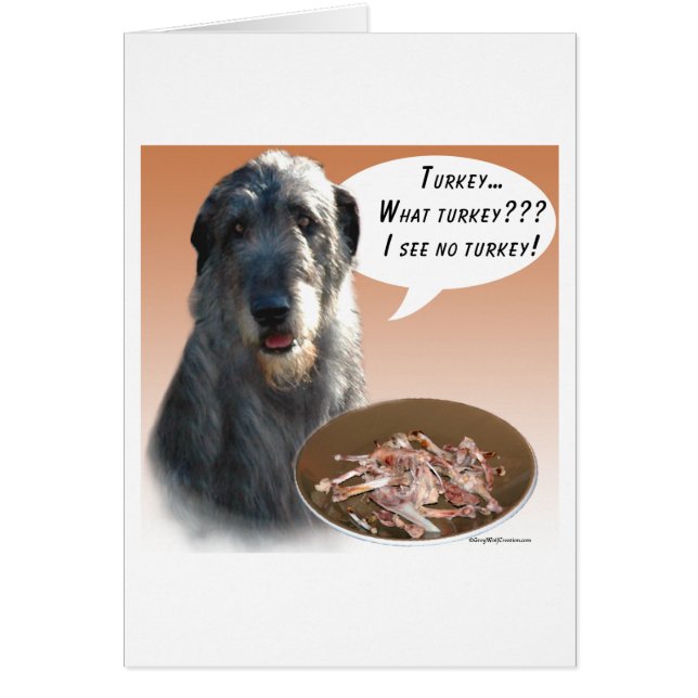 Irlande Wolfhound Turquie (Devant)