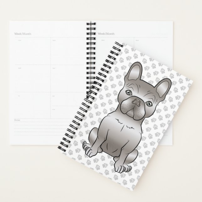 Isabella Bouledogue Français / Frenchie Chien Mign (Devant avec enveloppe)