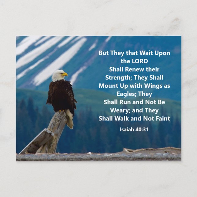 Isaïe 40:31 Montez sur Eagle Wings Carte postale (Devant)
