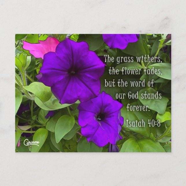 Isaïe 40:8 - Carte postale (Devant)