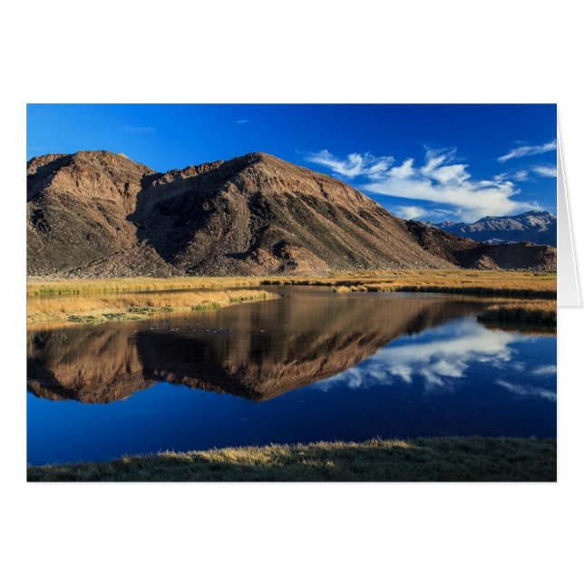 Isolement réfléchissant (Devant horizontal)