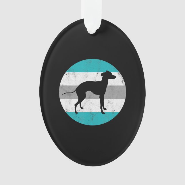 italien greyhound (devant)