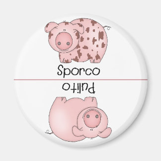 Italien propre lave-vaisselle sale Magnet Pig