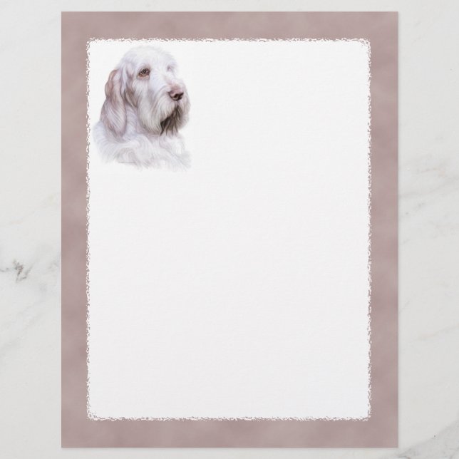 Italien Spinone Italiano (Devant)